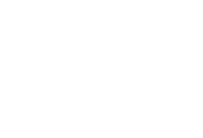 Icon_Schreinerei_Schwergutverpackung_weiss Icon_Schreinerei_Schwergutverpackung_weiss